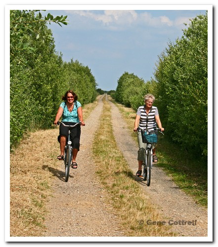 Pat and Ellen biking