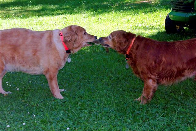 Tug-o-war