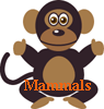 Mammals.gif