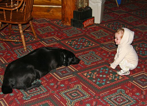 Elizabeth-Dog.jpg - Elizabeth loved the dogs.
