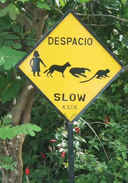 Slow-Sign